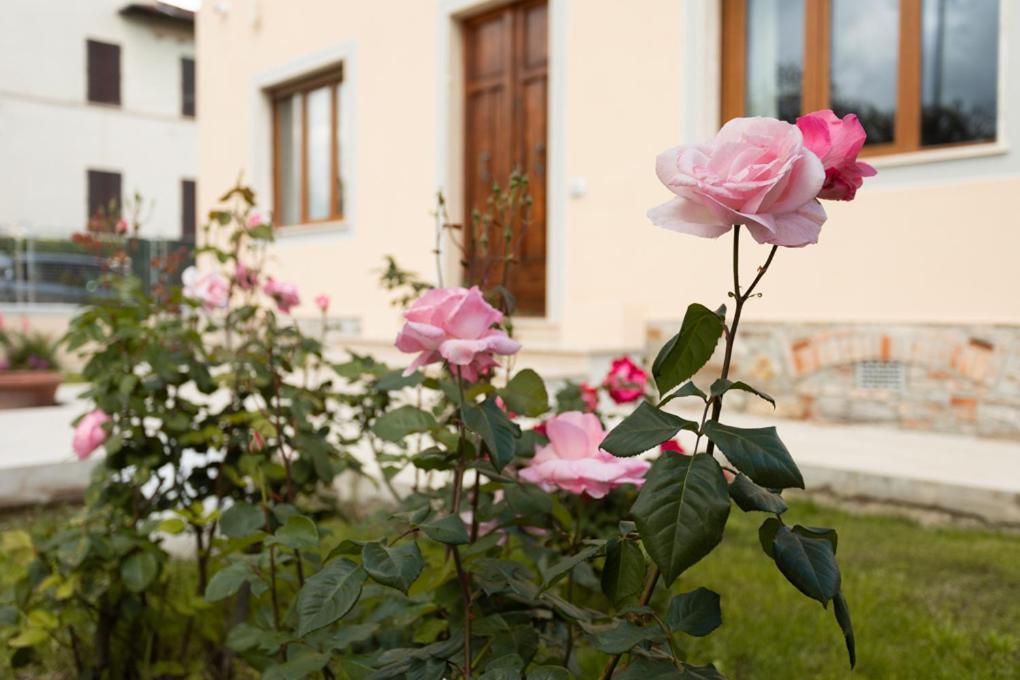 Villa Rosa Antica Lucca Exterior photo